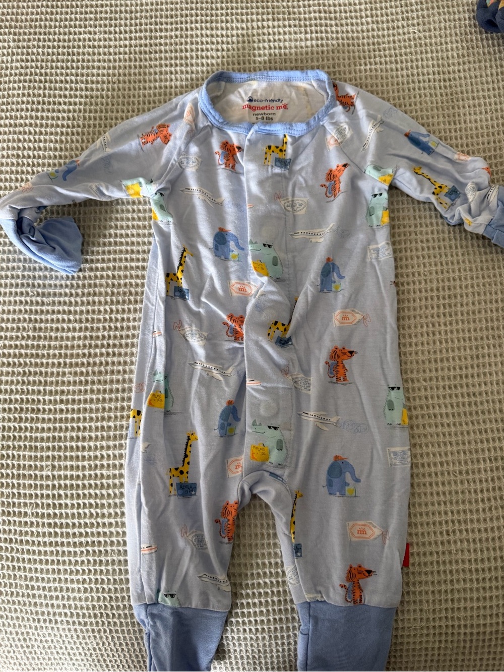 Magnetic Me Light Blue Footed Pajamas with Colorful Animal Prints
